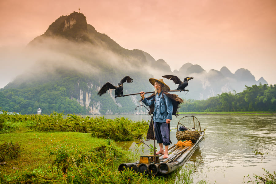 Postal de pescador en Yangshuo en el río Yulong con dos aves posadas en su caña.